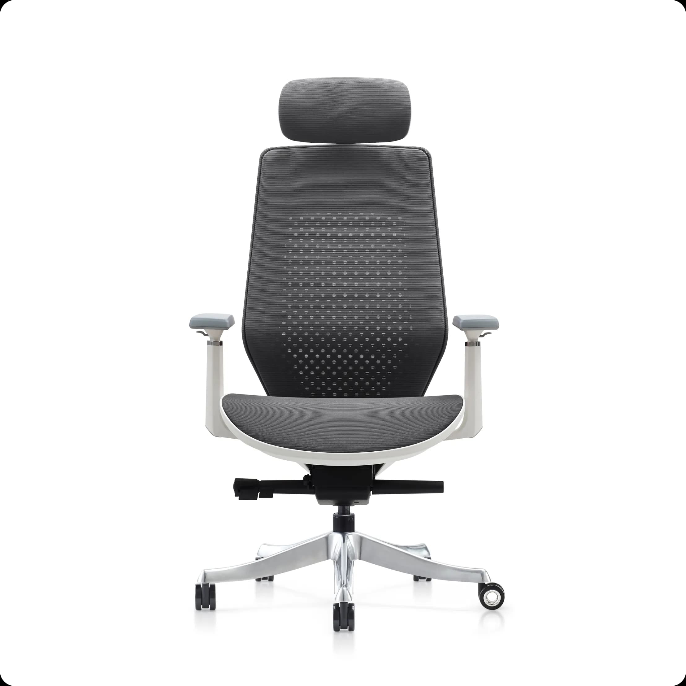ROVER Chair