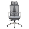 Aero Chair Mesh Beige Grey