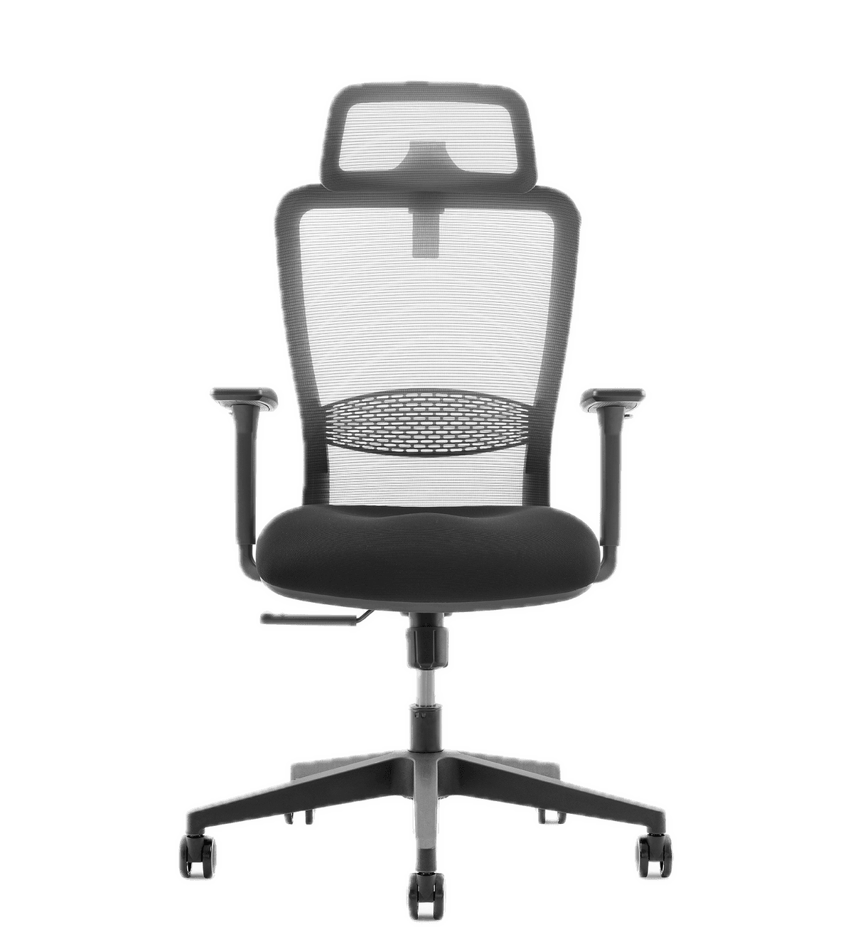 Ergolite Chair