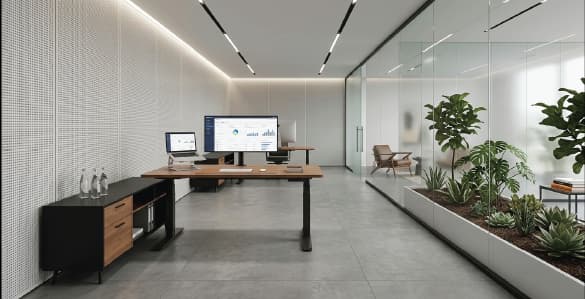 Executive Offices