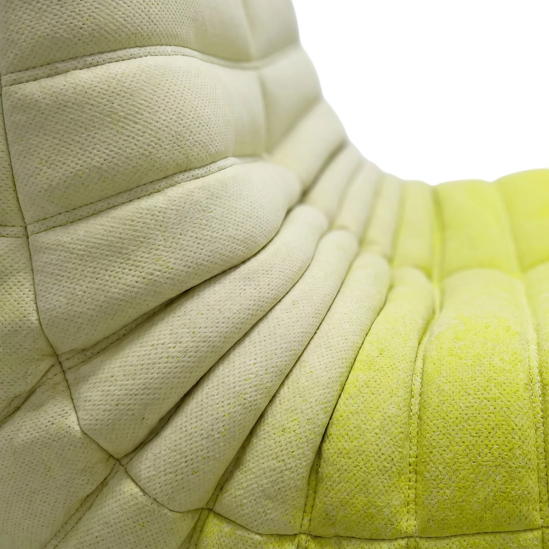 Macro photograph of CloudCouch u 202608141742