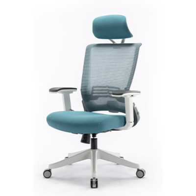 Ergonomic Chair