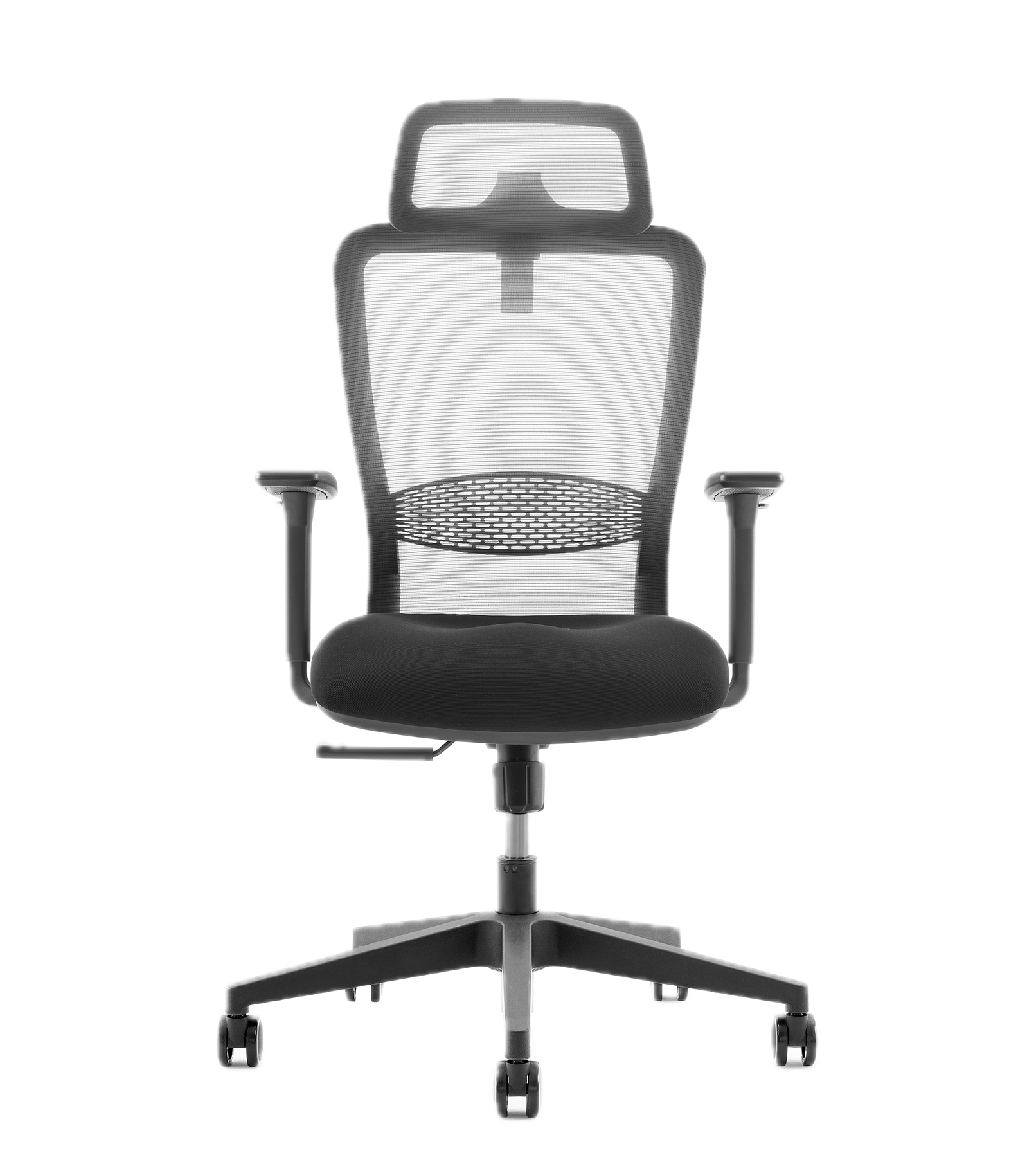 Ergolite Chair