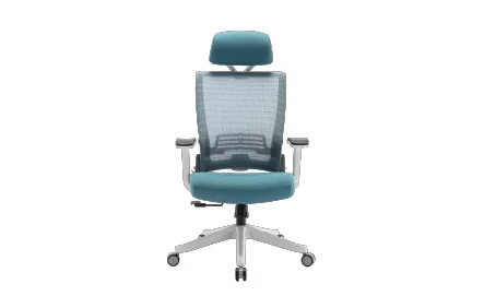 Ergonomic Chairs